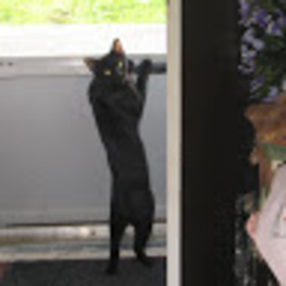 Meet your Posher, Kathy